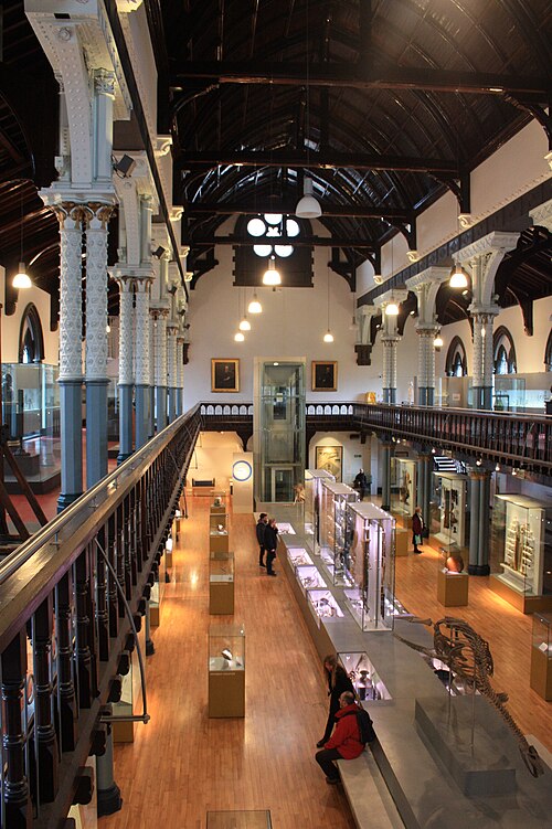 Hunterian Museum and Art Gallery